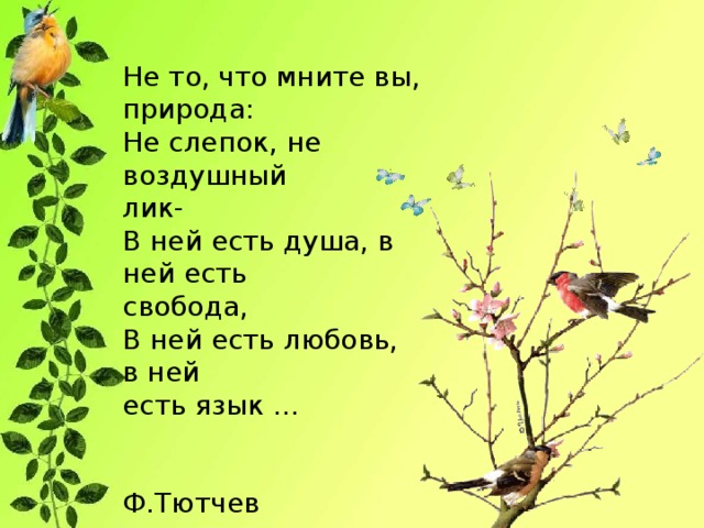 Не то, что мните вы, природа: Не слепок, не воздушный лик- В ней есть душа, в ней есть свобода, В ней есть любовь, в ней есть язык …  Ф.Тютчев