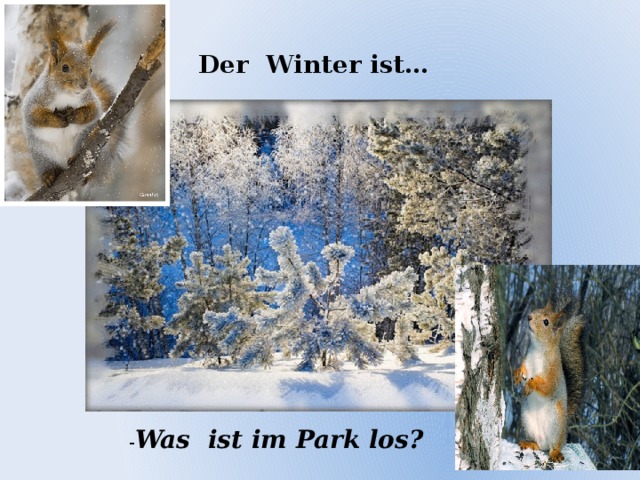 Der Winter ist… - Was ist im Park los?