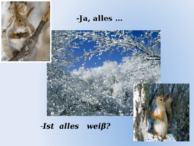 - Ja, alles … - Ist alles weiβ?