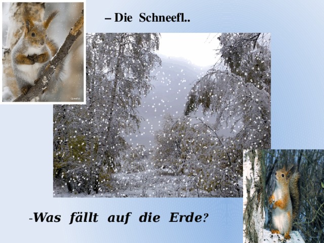 – Die Schneefl.. - Was fӓllt auf die Erde ?