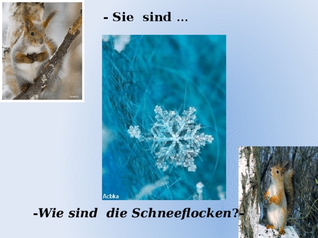 - Sie sind …  - Wie sind die Schneeflocken ?-