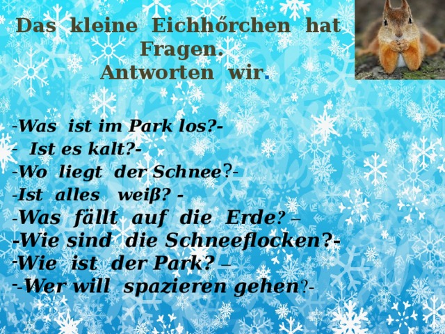 Das kleine Eichh őrchen hat  Fragen. Antworten wir . - Was ist im Park los?- - Ist es kalt?- - Wo liegt der Schnee ?- - Ist alles weiβ? - - Was fӓllt auf die Erde ? – - Wie sind die Schneeflocken ?-