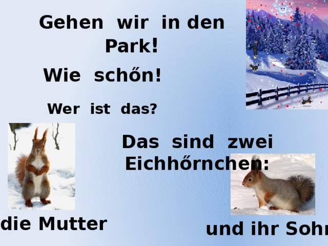 Gehen wir in den Park ! Wie sch őn! Wer ist das? Das sind zwei Eichh őrnchen: die Mutter und ihr Sohn