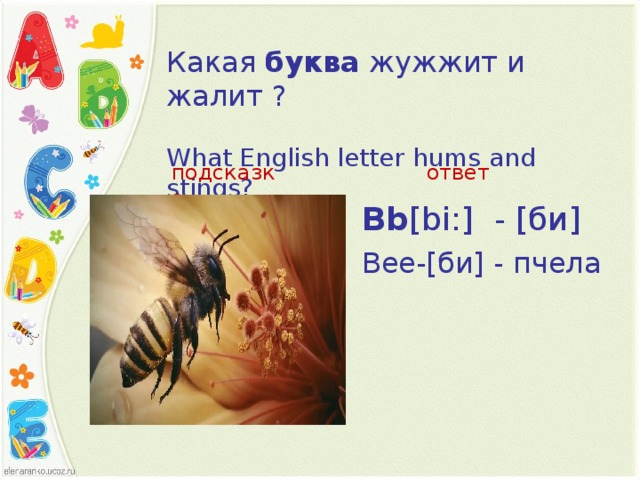 Какая  буква  жужжит и жалит ?   What English letter hums and stings?   подсказка ответ Bb [ bi: ] - [би]   Bee -[би] - пчела