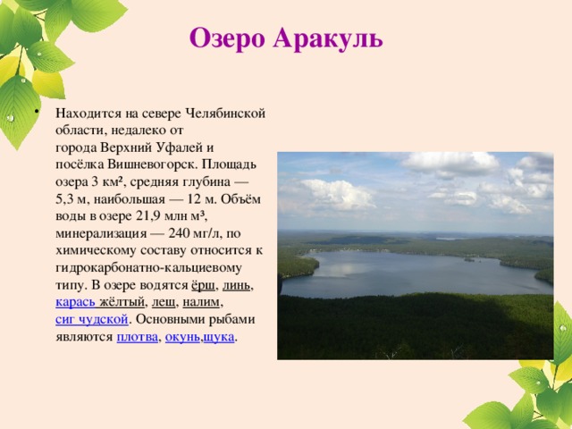 Озеро Аракуль