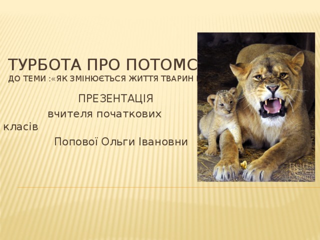 Турбота про потомство  до теми :«Як змінюється життя тварин навесні»  ПРЕЗЕНТАЦІЯ  вчителя початкових класів  Попової Ольги Івановни