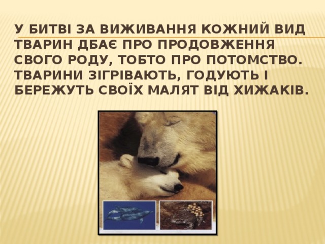 У битві за виживання кожний вид тварин дбає про продовження свого роду, тобто про потомство. Тварини зігрівають, годують і бережуть своїх малят від хижаків.