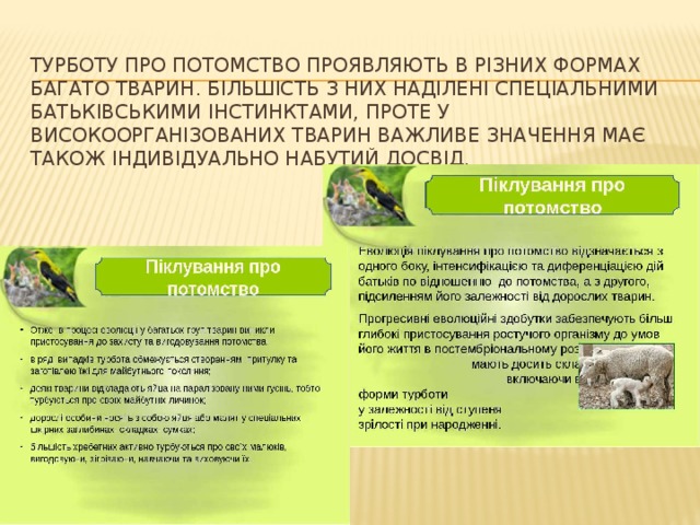 Турботу про потомство проявляють в різних формах багато тварин. Більшість з них наділені спеціальними батьківськими інстинктами, проте у високоорганізованих тварин важливе значення має також індивідуально набутий досвід.