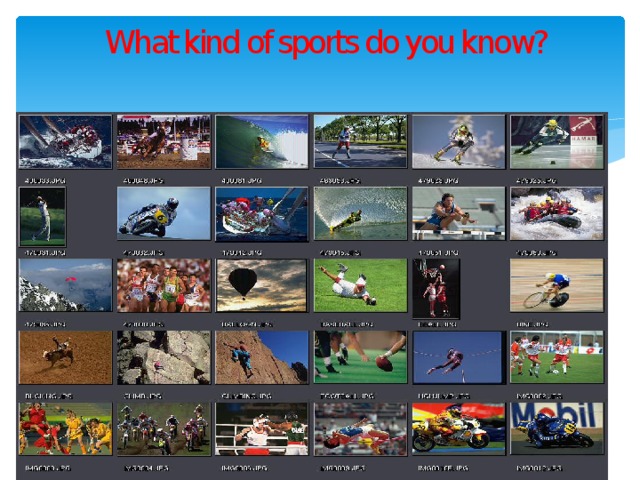 What sport do you do regularly. Kinds of Sports. Kind of Sports или kinds of Sport. What kind of Sport. Kind of Sport на английском.