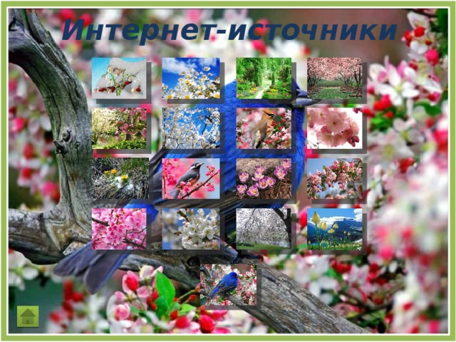 Интернет-источники