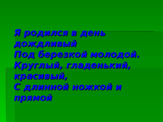 Я родился в день дождливый  Под березкой молодой.  Круглый, гладенький, красивый,  С длинной ножкой и прямой