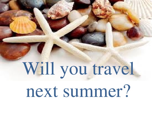 Will you travel next summer?