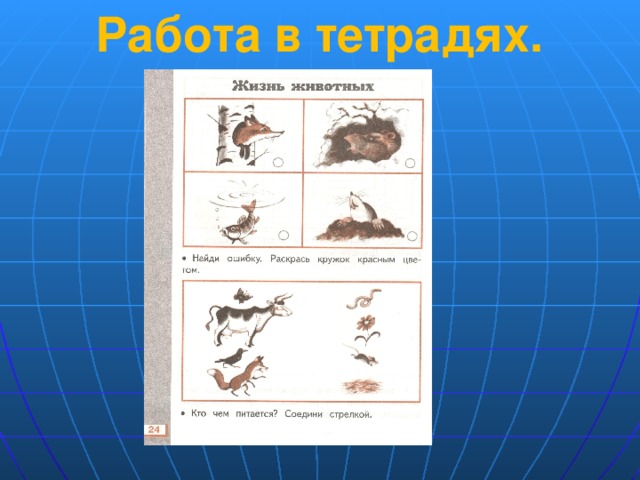 Работа в тетрадях.