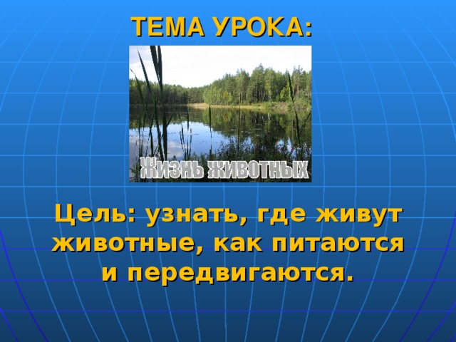 ТЕМА УРОКА: Цель: узнать, где живут животные, как питаются и передвигаются.