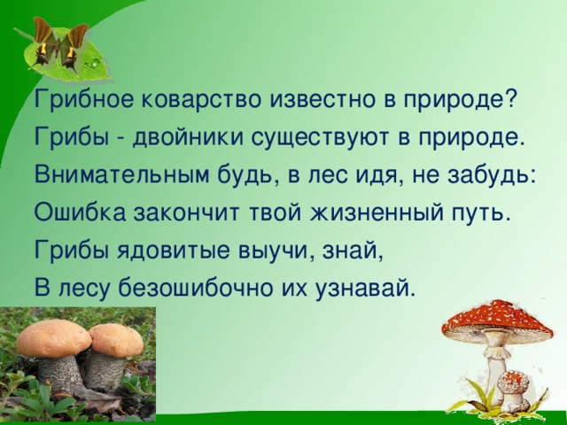 Путем грибной мудрости. Грибы презентация. Съедобные и ядовитые грибы презентация. Сообщение о съедобных грибах 2 класс. Грибы 2 класс окружающий мир.