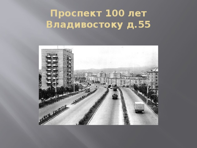 Проспект 100 лет Владивостоку д.55
