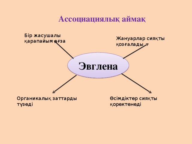 Ассоциациялық аймақ Бір жасушалы қарапайым ағза Жануарлар сияқты қозғалады Эвглена Органикалық заттарды түзеді Өсімдіктер сияқты қоректенеді