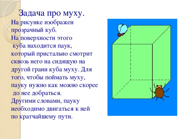 Задача про муху.  На рисунке изображен  прозрачный куб.  На поверхности этого  куба находится паук,  который пристально смотрит  сквозь него на сидящую на  другой грани куба муху. Для  того, чтобы поймать муху,  пауку нужно как можно скорее  до нее добраться.  Другими словами, пауку  необходимо двигаться к ней  по кратчайшему пути.