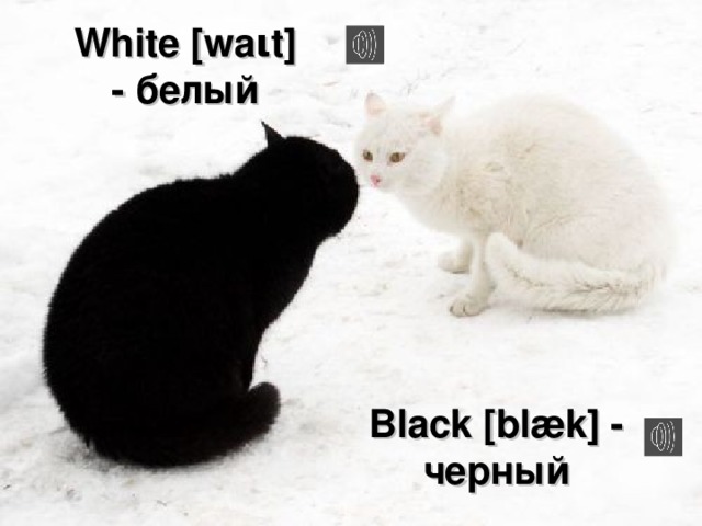 White [wa ι t] - белый Black [blæk] - черный