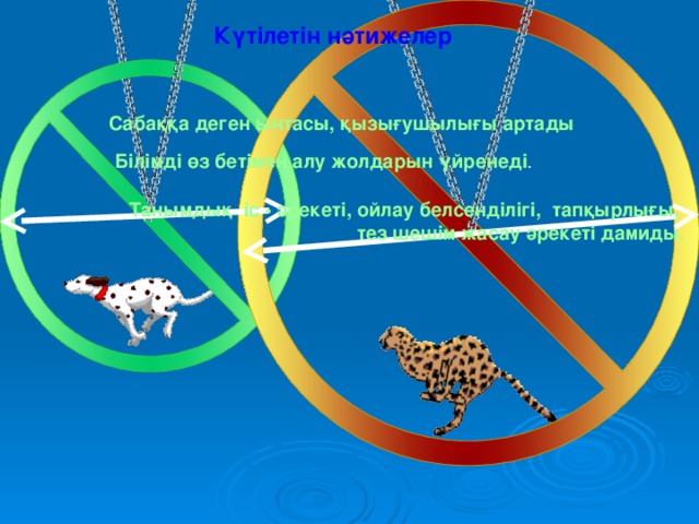 Күтілетін нәтижелер  Сабаққа деген ынтасы, қызығушылығы артады  Білімді өз бетімен алу жолдарын үйренеді .  Танымдық іс - әрекеті, ойлау белсенділігі, тапқырлығы, тез шешім жасау әрекеті дамиды. «Звери в колесе». Собака в колесе, диаметром 3м, мчится со скоростью 6 м/с. Гепард в колесе, диаметр которого 5м, развил скорость 14 м/с. Какое колесо сделает больше оборотов за 4 минуты и на сколько процентов? (П=3)