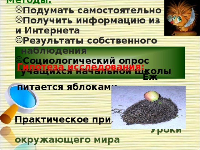 Методы:  Подумать самостоятельно Получить информацию из  книг Подумать самостоятельно Получить информацию из  книг и Интернета и Интернета Результаты собственного наблюдения Социологический опрос учащихся начальной школы Результаты собственного наблюдения Социологический опрос учащихся начальной школы Гипотеза исследования :  Ёж питается яблоками Практическое применение :  Уроки окружающего мира