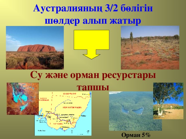 Аустралияның 3/2 бөлігін шөлдер алып жатыр Су және орман ресурстары тапшы Орман 5%