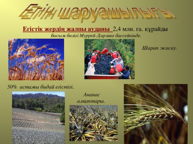 Егістік жердің жалпы ауданы 2,4 млн. га. құрайды Басым бөлігі Муррей-Дарлинг бассейнінде. Шарап жасау. 50% астамы бидай егістігі . Ананас алқаптары.