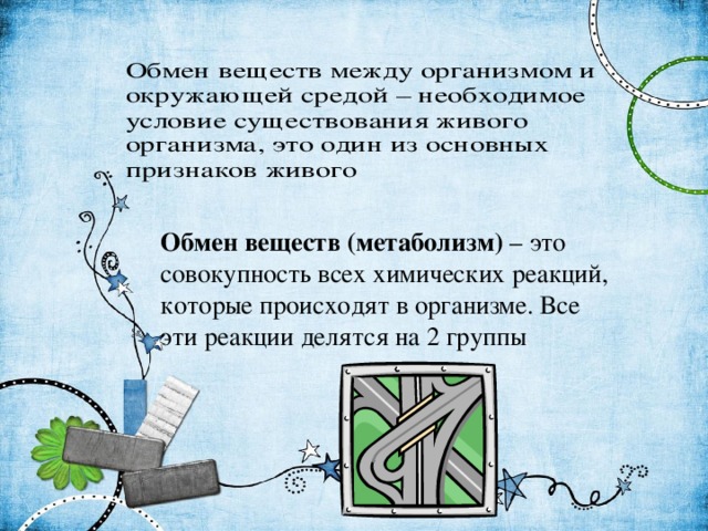 Обмен веществ (метаболизм) – это совокупность всех химических реакций, которые происходят в организме. Все эти реакции делятся на 2 группы