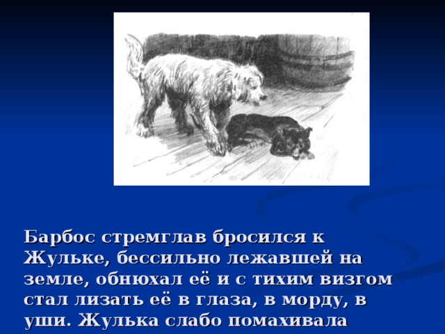 Барбос стремглав бросился к Жульке, бессильно лежавшей на земле, обнюхал её и с тихим визгом стал лизать её в глаза, в морду, в уши. Жулька слабо помахивала хвостом и старалась приподнять голову — ей это не удалось. В прощании собак было что-то трогательное...