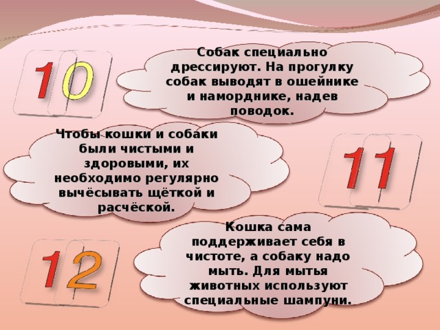 Собак специально дрессируют. На прогулку собак выводят в ошейнике и наморднике, надев поводок. Чтобы кошки и собаки были чистыми и здоровыми, их необходимо регулярно вычёсывать щёткой и расчёской. Кошка сама поддерживает себя в чистоте, а собаку надо мыть. Для мытья животных используют специальные шампуни.