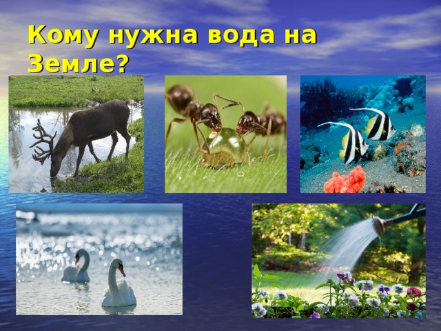 Где нужна вода