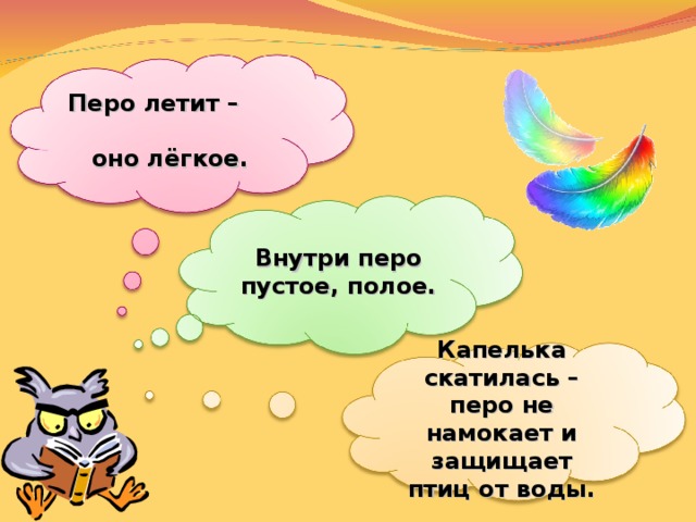 Перо летит – оно лёгкое. Внутри перо пустое, полое. Капелька скатилась – перо не намокает и защищает птиц от воды.