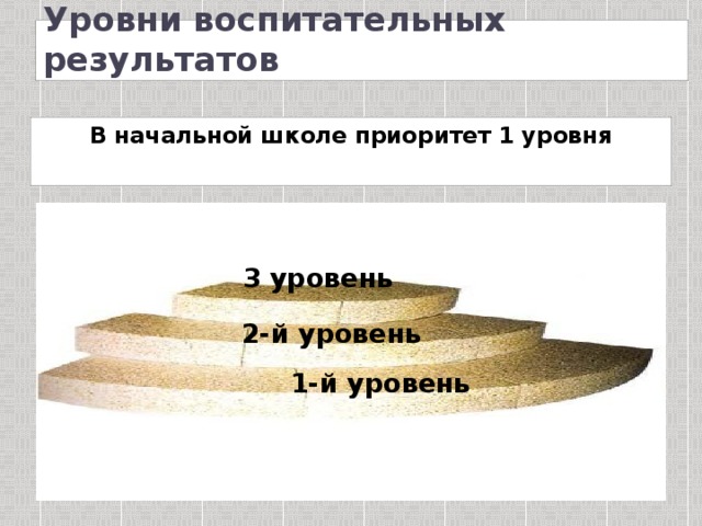 Уровни воспитательных результатов В начальной школе приоритет 1 уровня 3  уровень 2-й уровень 1-й уровень