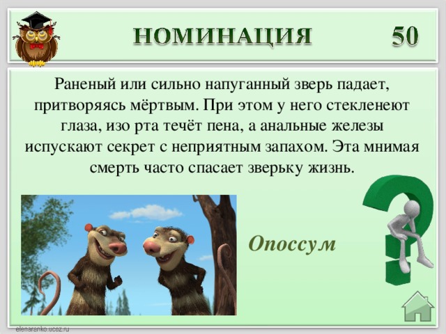 Раненый или сильно напуганный зверь падает, притворяясь мёртвым. При этом у него стекленеют глаза, изо рта течёт пена, а анальные железы испускают секрет с неприятным запахом. Эта мнимая смерть часто спасает зверьку жизнь. Опоссум