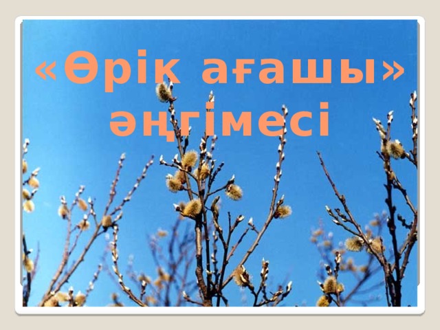 «Өрік ағашы» әңгімесі