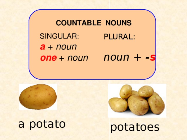 COUNTABLE NOUNS SINGULAR: a  + noun one  + noun PLURAL: noun  +  - s a potato potatoes
