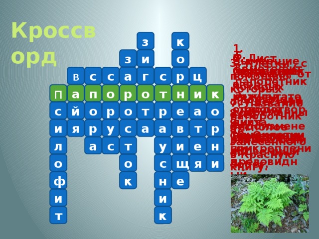 Кроссворд з к 1. Вымершие растения, от которых произошли современные папоротники. 5. Гаметофит папоротника. и з о 2. Лист папоротника. 4. Скопление спор на нижней стороне листа. 6. Образуется в результате оплодотворения яйцеклетки. 3. Клетки , с помощью которых осуществляется бесполое размножение. ц с р с в г а с а п п т о р к и н о 7. Название папоротника, занесенного в Красную книгу. е а о р с й о р о т 8. Видоизмененный подземный побег. 9. Современный древовидный папоротник. и р т в р а у я с а 10. Органы прикрепления. а с т н у л е и я с о о и щ к е ф н и и к т