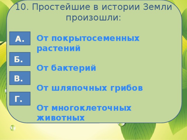 10. Простейшие в истории Земли произошли: От покрытосеменных растений А.  От бактерий  От шляпочных грибов  От многоклеточных животных Б. В. Г.