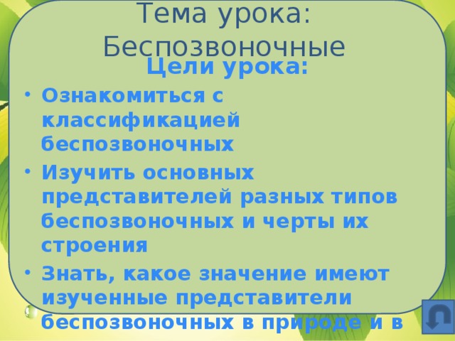 Тема урока: Беспозвоночные Цели урока: