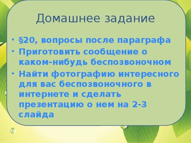 Домашнее задание §20, вопросы после параграфа Приготовить сообщение о каком-нибудь беспозвоночном Найти фотографию интересного для вас беспозвоночного в интернете и сделать презентацию о нем на 2-3 слайда