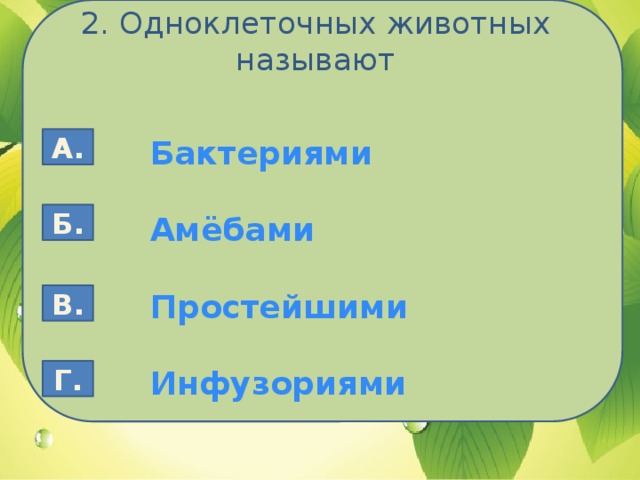 2. Одноклеточных животных называют Бактериями А.  Амёбами  Простейшими  Инфузориями Б. В. Г.