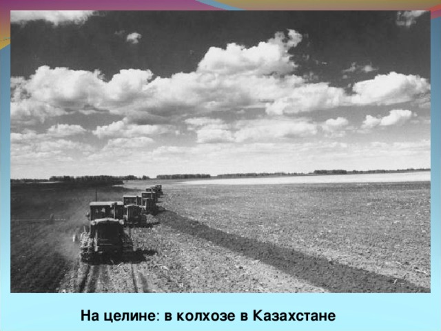 На целине : в колхозе  в  Казахстане