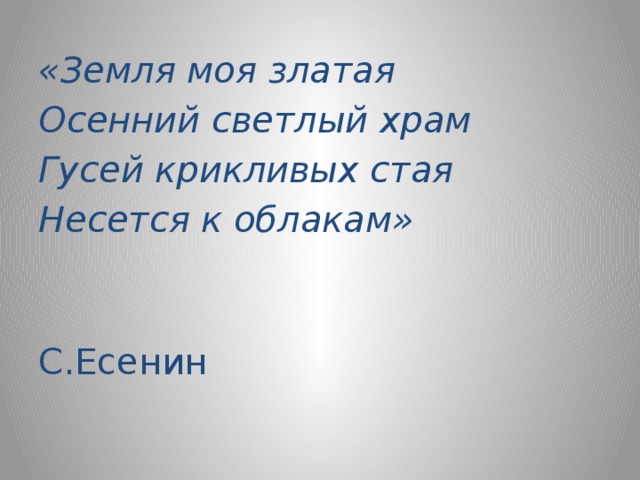 «Земля моя златая Осенний светлый храм Гусей крикливых стая Несется к облакам»  С.Есенин