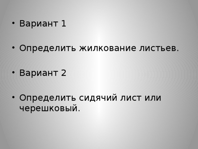 Вариант 1 Определить жилкование листьев. Вариант 2 Определить сидячий лист или черешковый.