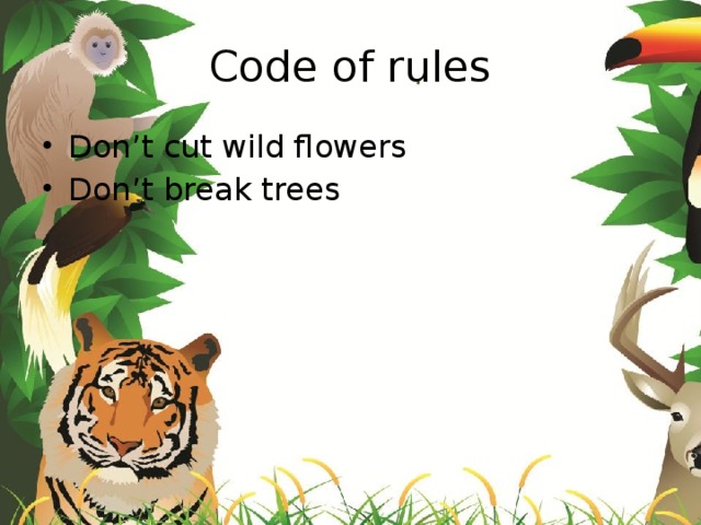 Code of rules