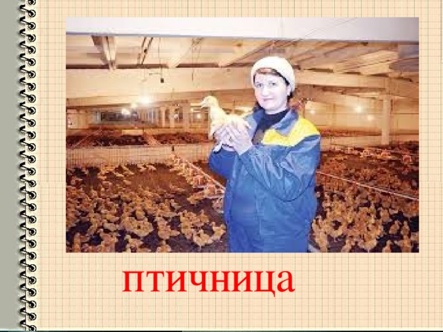 птичница