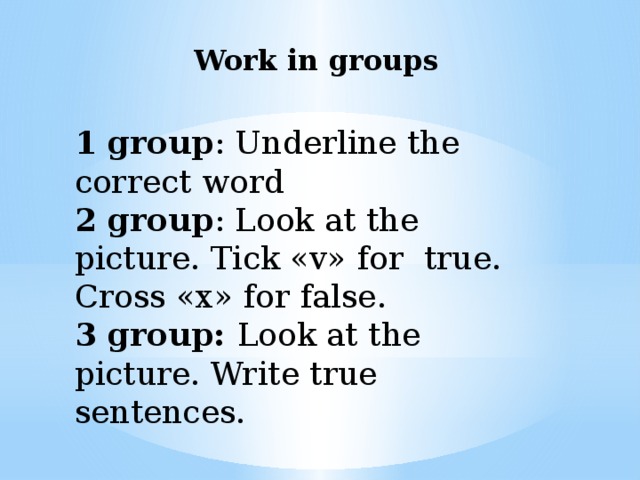 Work in groups 1 group : Underline the correct word 2 group : Look at the picture. Tick «v» for true. Cross «x» for false. 3 group: Look at the picture. Write true sentences.