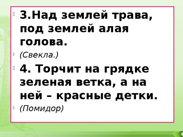 3.Над землей трава, под землей алая голова.  (Свекла.) 4. Торчит на грядке зеленая ветка, а на ней – красные детки.  (Помидор)