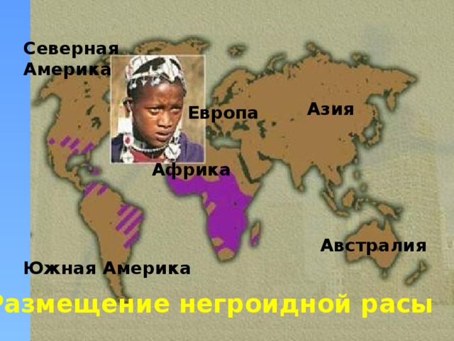 Северная  Америка Азия Европа Африка Австралия Южная  Америка Размещение негроидной расы