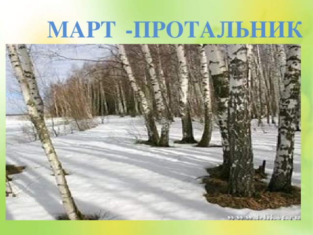 МАРТ -ПРОТАЛЬНИК